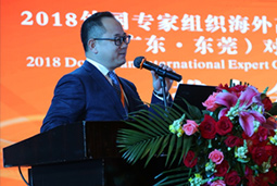 非凡国际
人力资源公司出席“2018东莞外国专家组织洽谈会”